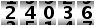 24036