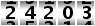 24203