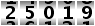 25019