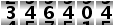 346404