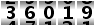 36019