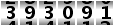 393091