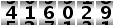 416029