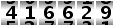 416629