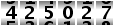 425027