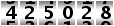 425028