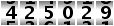 425029