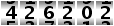 426202