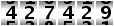 427429