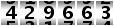 429663