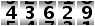 43629
