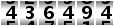 436494
