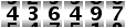 436497