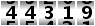 44319