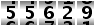 55629