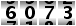 6073