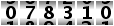 078310