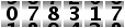078317